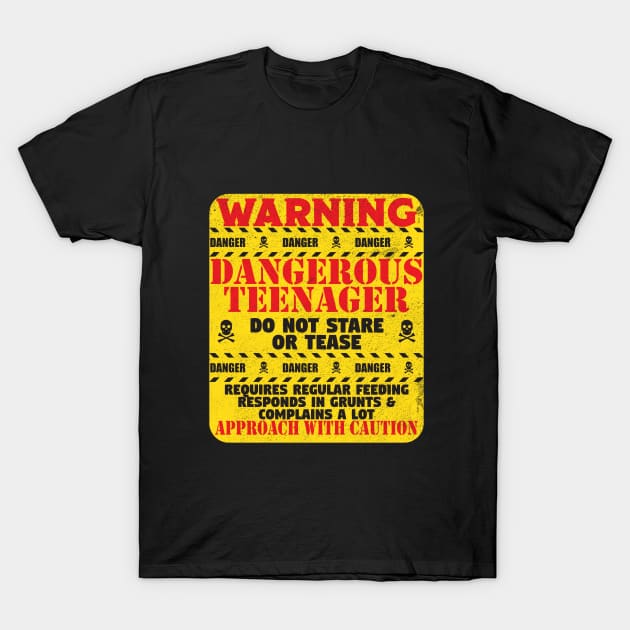 13th Birthday - Warning Dangerous Teenager T-Shirt by Kudostees